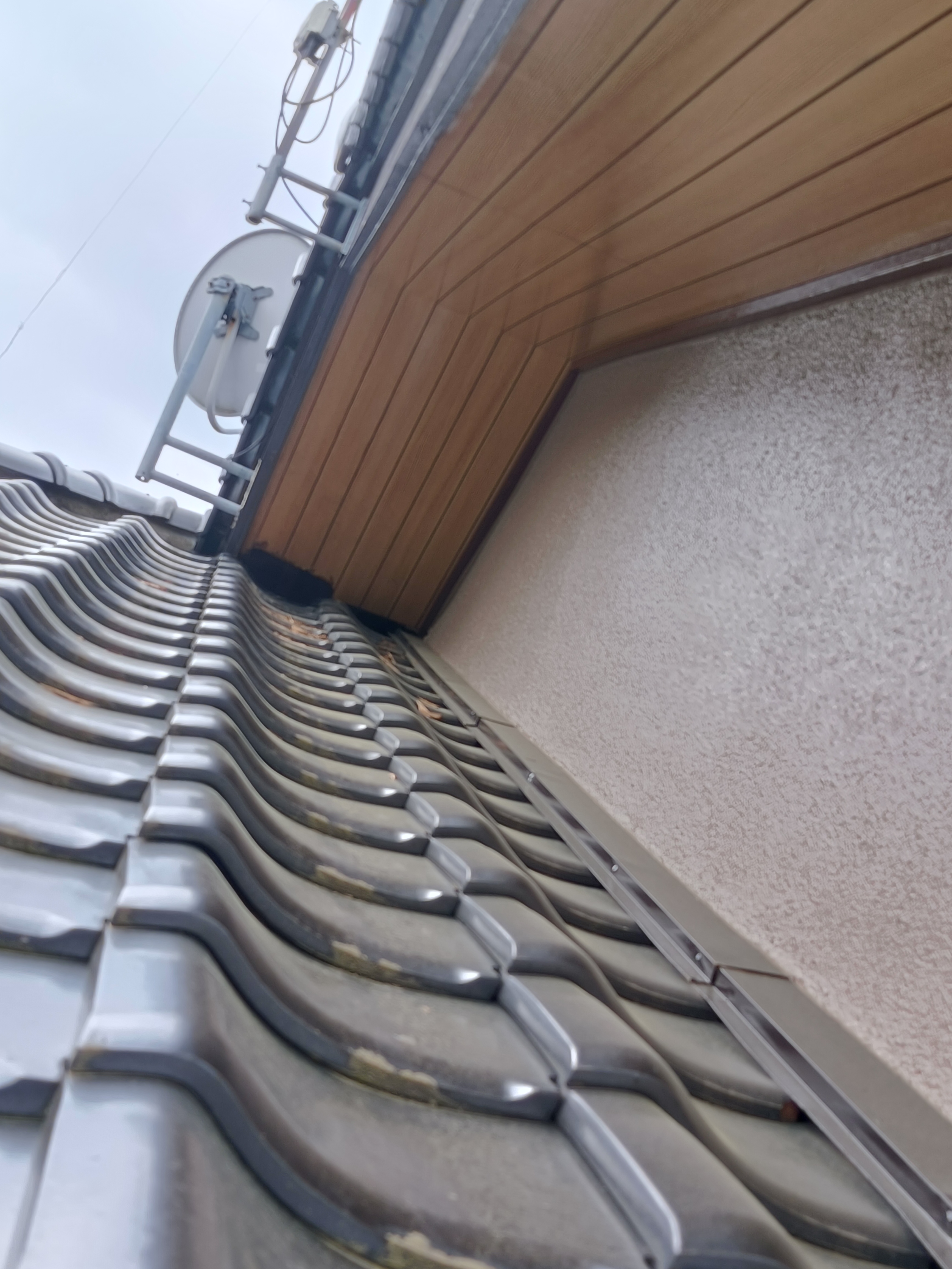 ひたちなか店のアライグマCASE2に使用する屋根まわりの侵入口写真